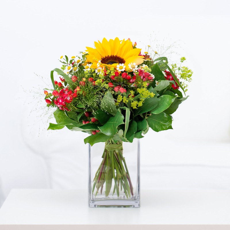 Sonnenblume "Sunshine"