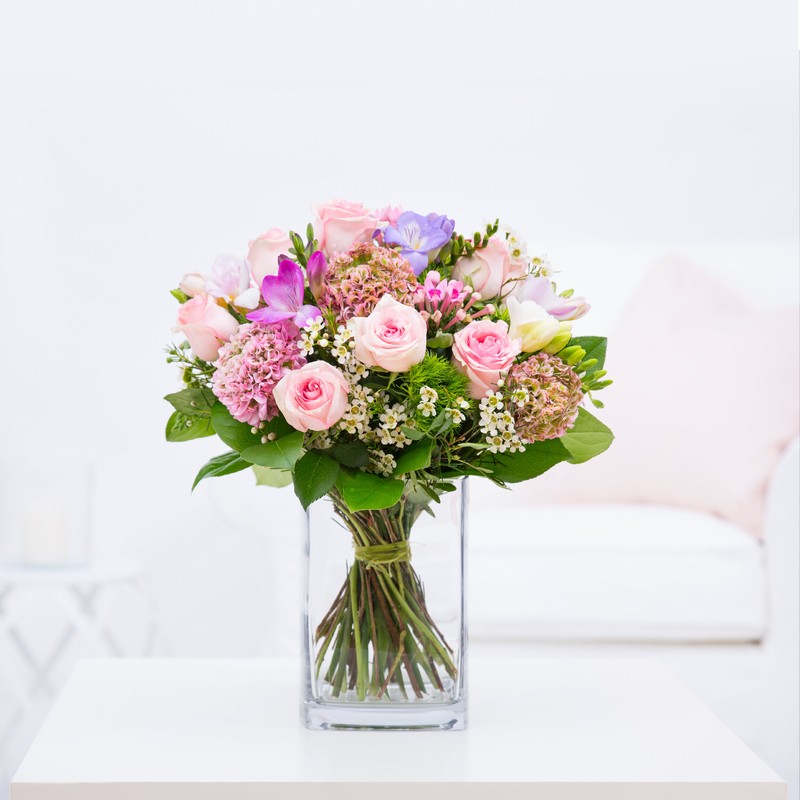 Rosen "Zarte Geste"