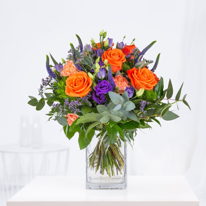 Rosen "Color Play"