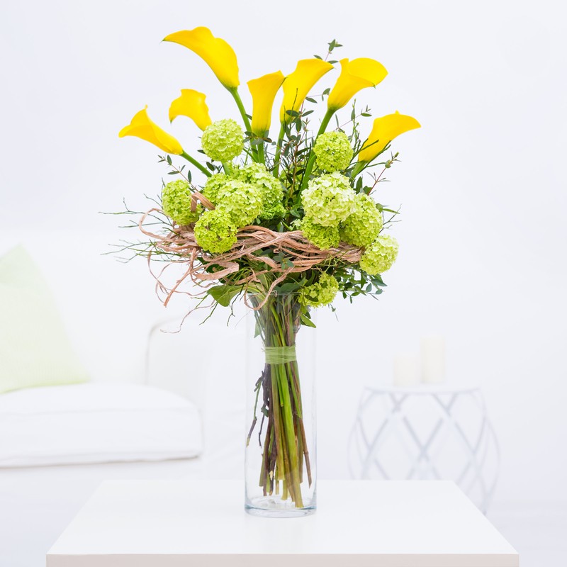 Callas "Leuchtende Eleganz"