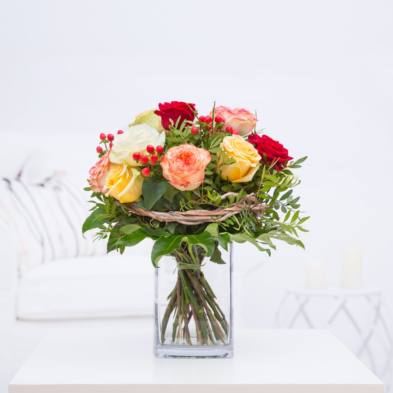 Rosen "Rosenvielfalt"